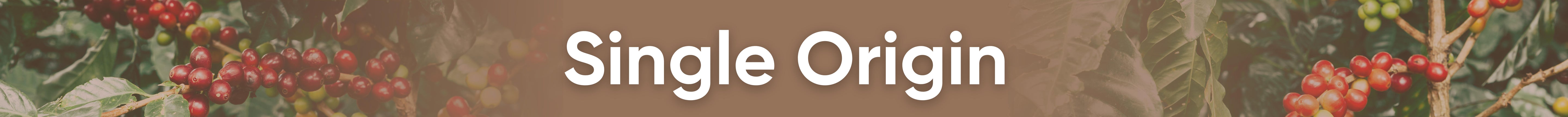 Single Origin